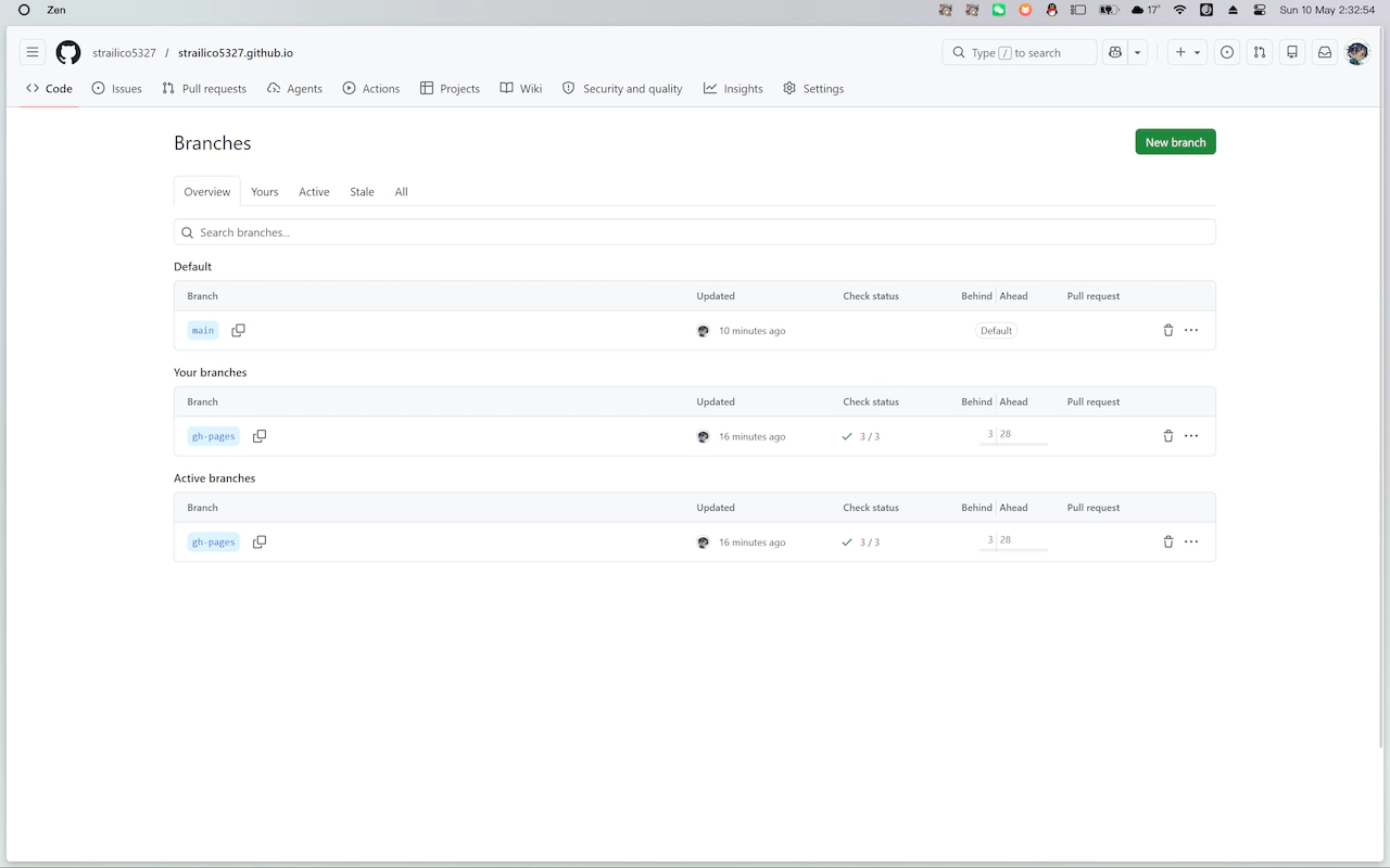 github_blog_repo_branches_screenshot